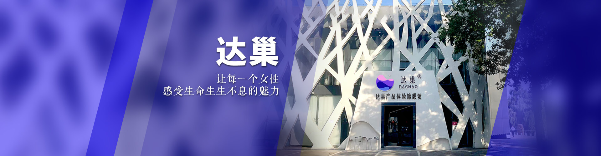 达巢Reco18主图